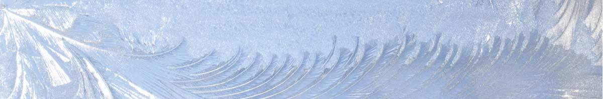 Winter is Coming - Immune Support Mukilteo