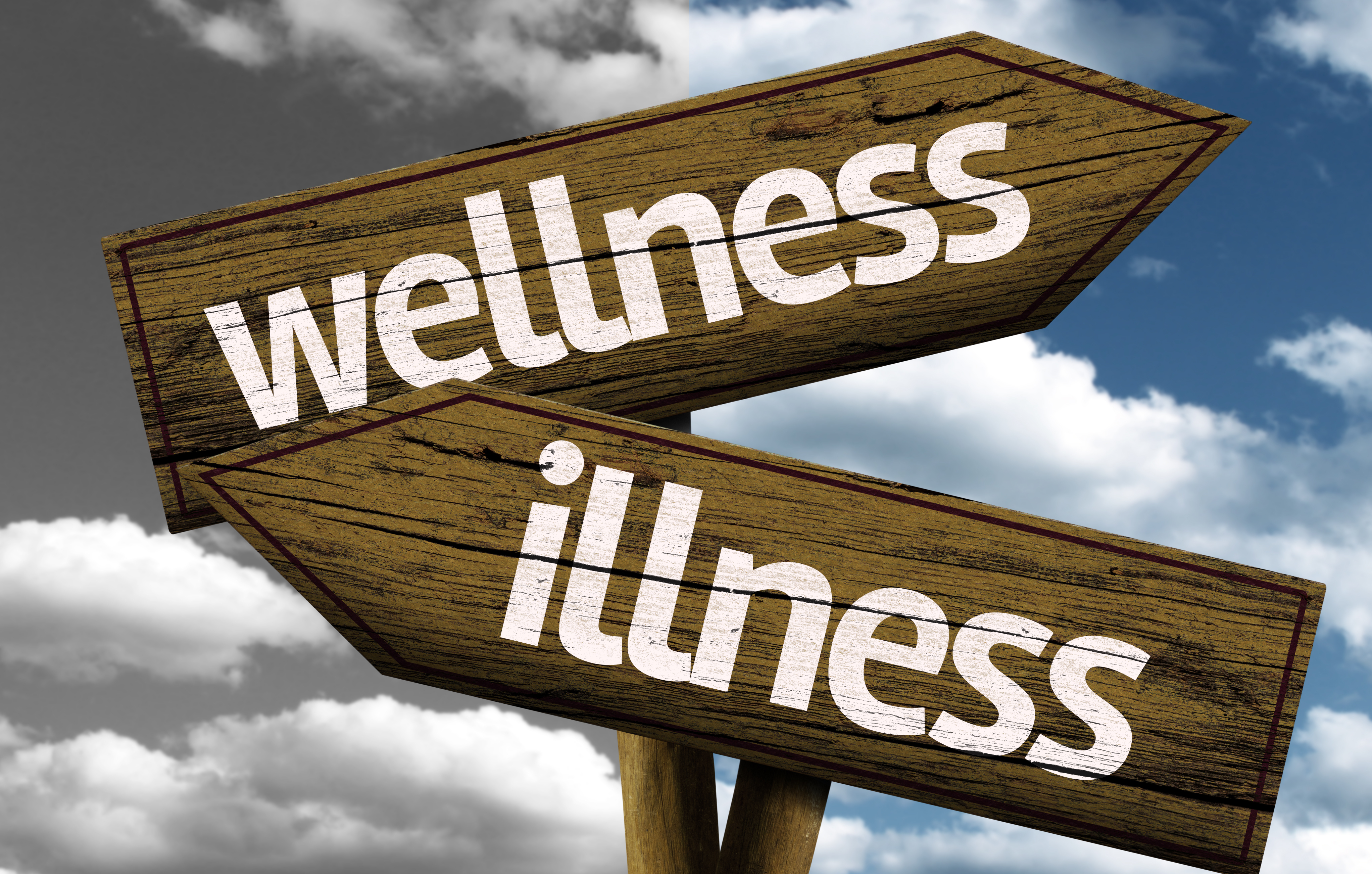 Preventive – wellness vs illness